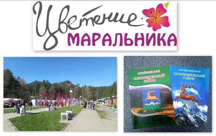 151сссc.jpg